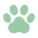 paw